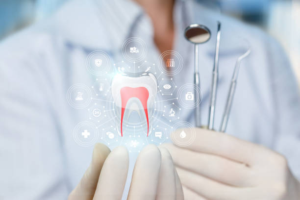 Best Dental Fillings (Composite and Amalgam)  in West Sayville, NY